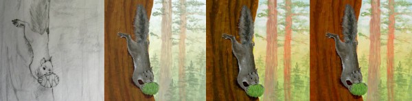 6--squirrel_collection