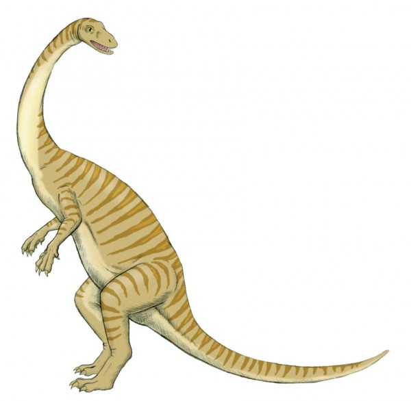 Anchisaurus3