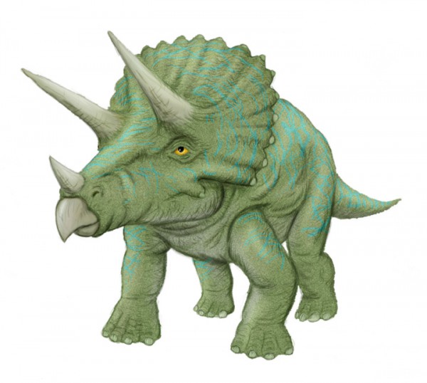 Triceratops-Color2