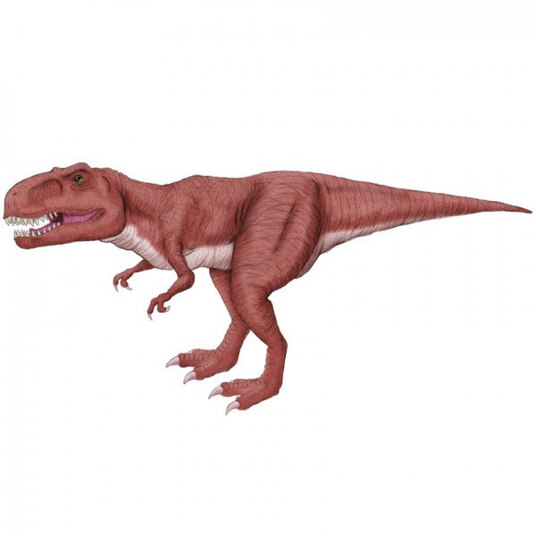 TyranosaurusColor2